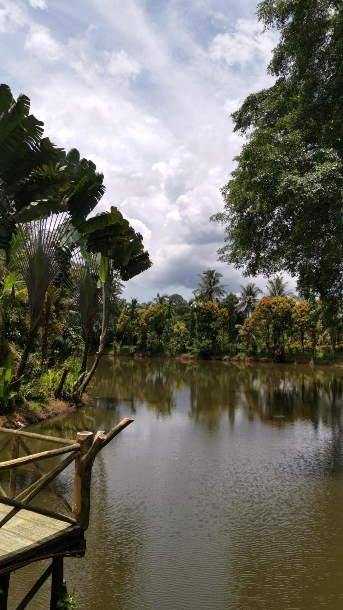 Sepilok Jungle Resort Exterior foto