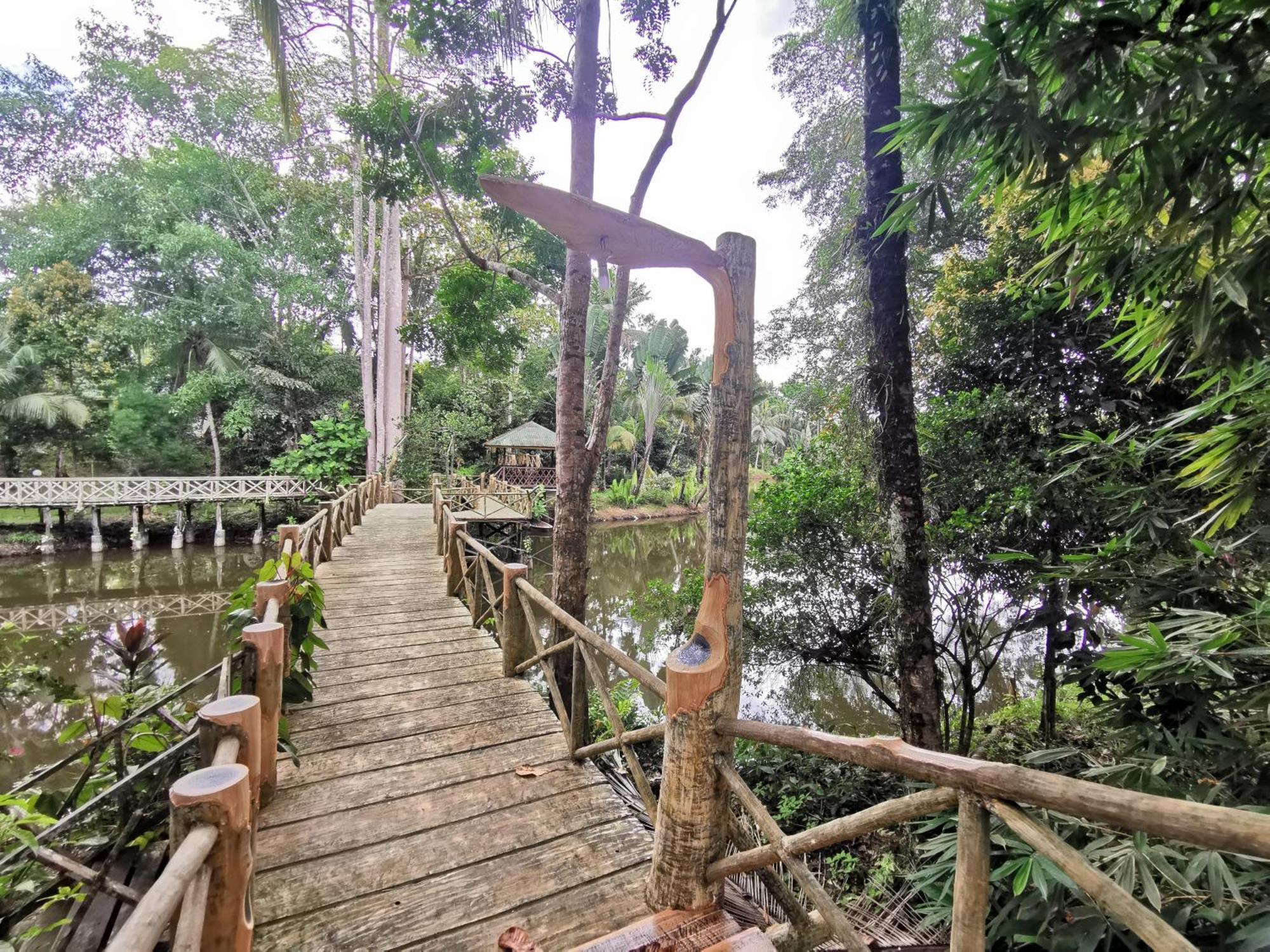 Sepilok Jungle Resort Exterior foto