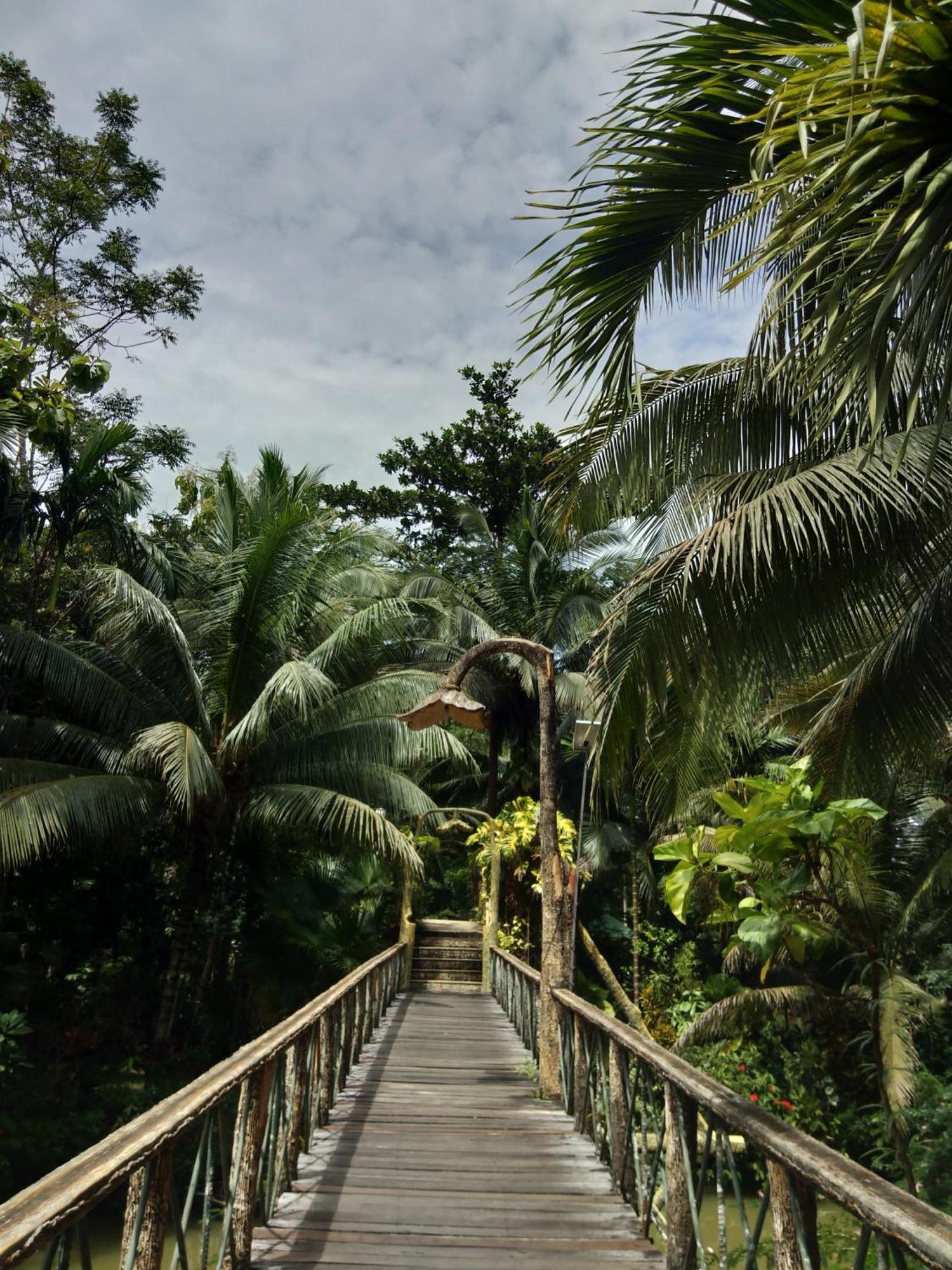 Sepilok Jungle Resort Exterior foto