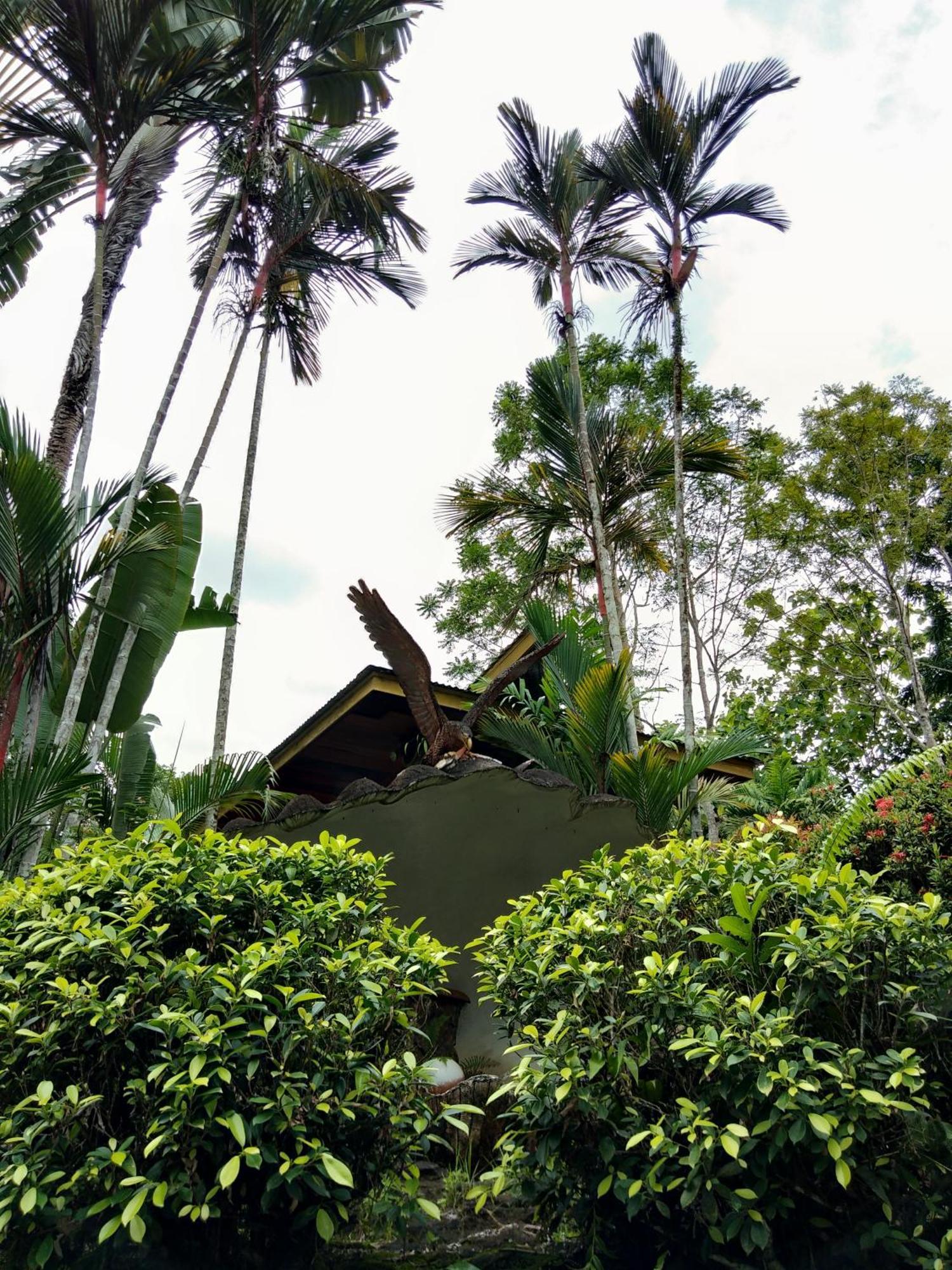 Sepilok Jungle Resort Exterior foto